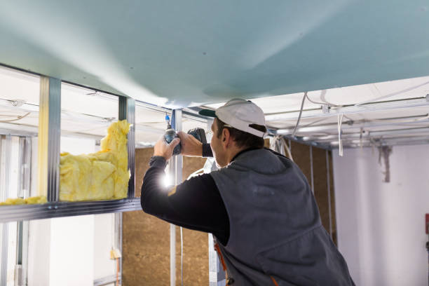 Best Insulation Maintenance and Repair in Blawnox, PA